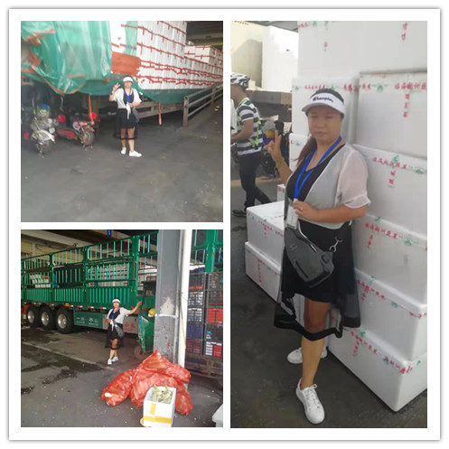 鉴黑担保网(jhdbw)·最具权威唯一维权担保平台