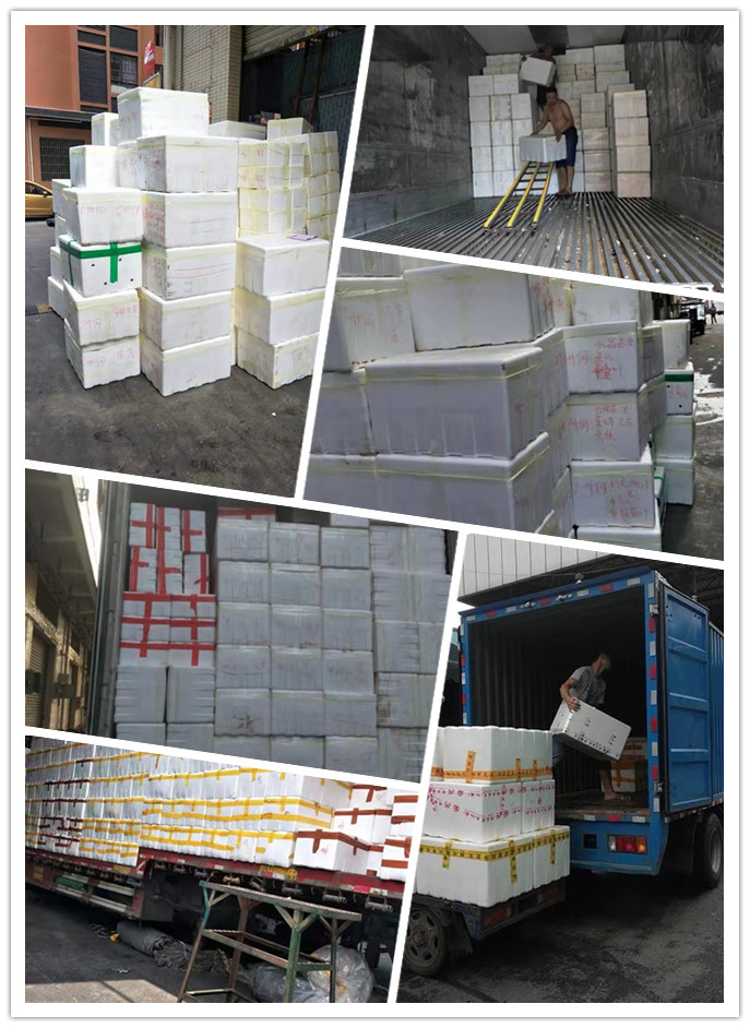 鉴黑担保网(jhdbw)·最具权威唯一维权担保平台