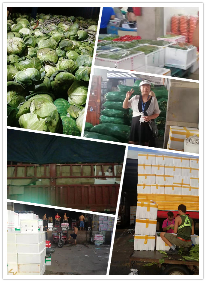 鉴黑担保网(jhdbw)·最具权威唯一维权担保平台