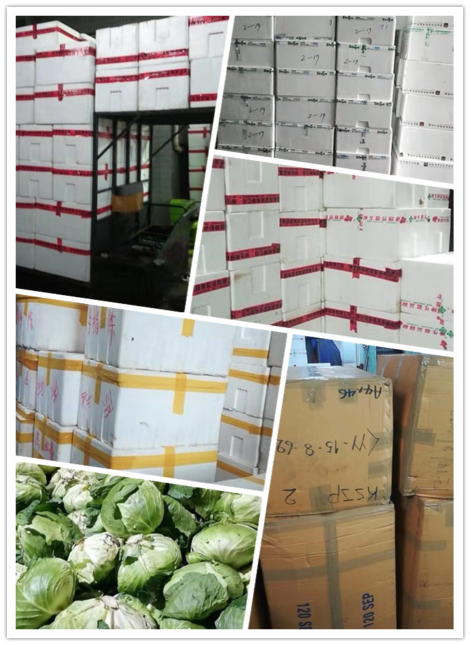 鉴黑担保网(jhdbw)·最具权威唯一维权担保平台