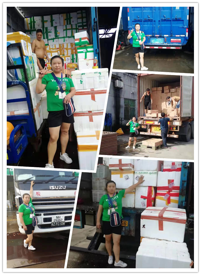 鉴黑担保网(jhdbw)·最具权威唯一维权担保平台