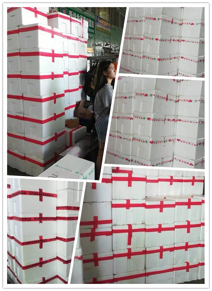 鉴黑担保网(jhdbw)·最具权威唯一维权担保平台