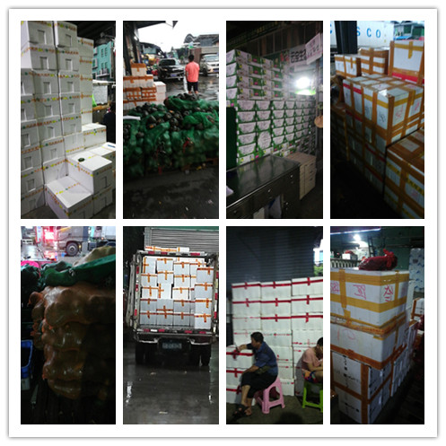 鉴黑担保网(jhdbw)·最具权威唯一维权担保平台