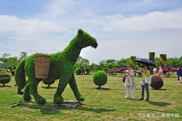 鉴黑担保网(jhdbw)·最具权威唯一维权担保平台