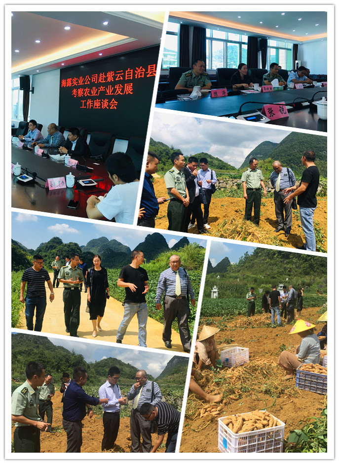 鉴黑担保网(jhdbw)·最具权威唯一维权担保平台