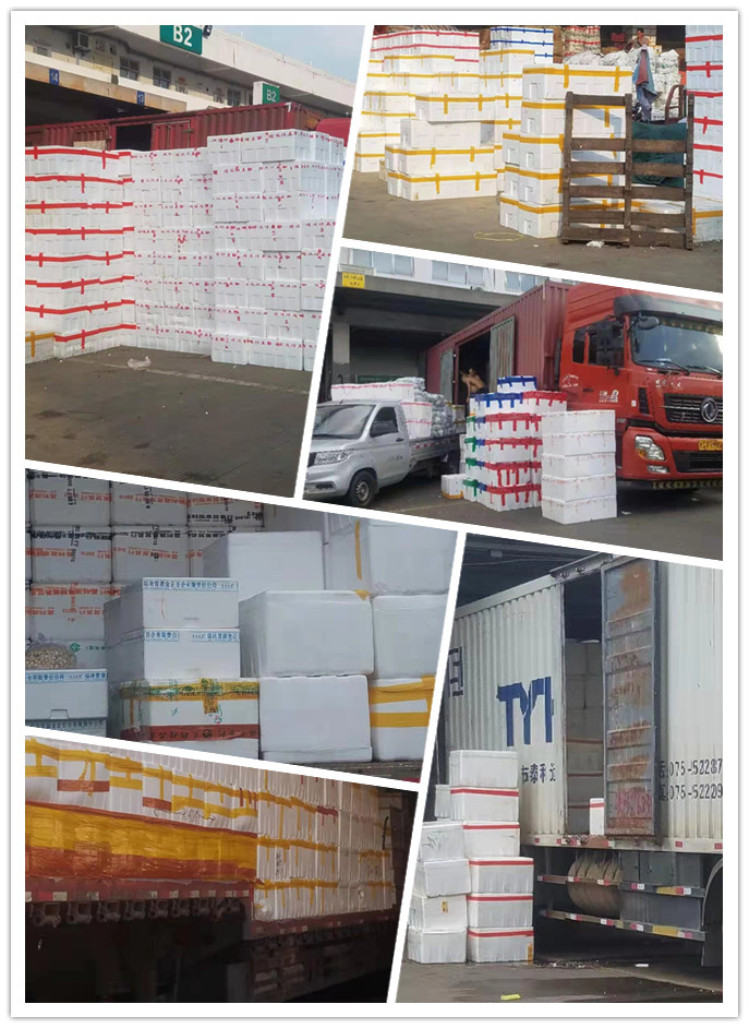 鉴黑担保网(jhdbw)·最具权威唯一维权担保平台