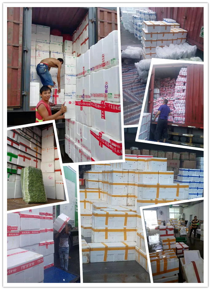 鉴黑担保网(jhdbw)·最具权威唯一维权担保平台