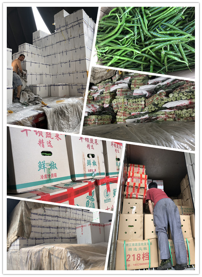 鉴黑担保网(jhdbw)·最具权威唯一维权担保平台