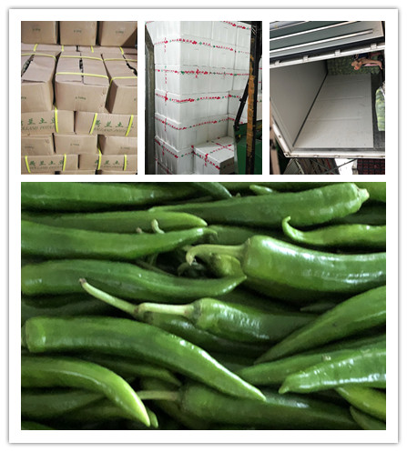 鉴黑担保网(jhdbw)·最具权威唯一维权担保平台