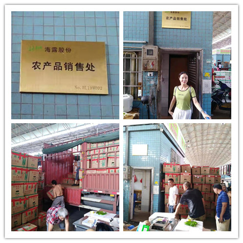 鉴黑担保网(jhdbw)·最具权威唯一维权担保平台