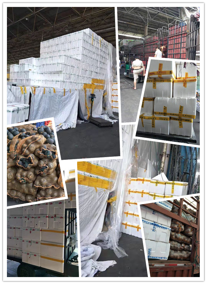 鉴黑担保网(jhdbw)·最具权威唯一维权担保平台