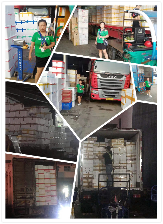 鉴黑担保网(jhdbw)·最具权威唯一维权担保平台