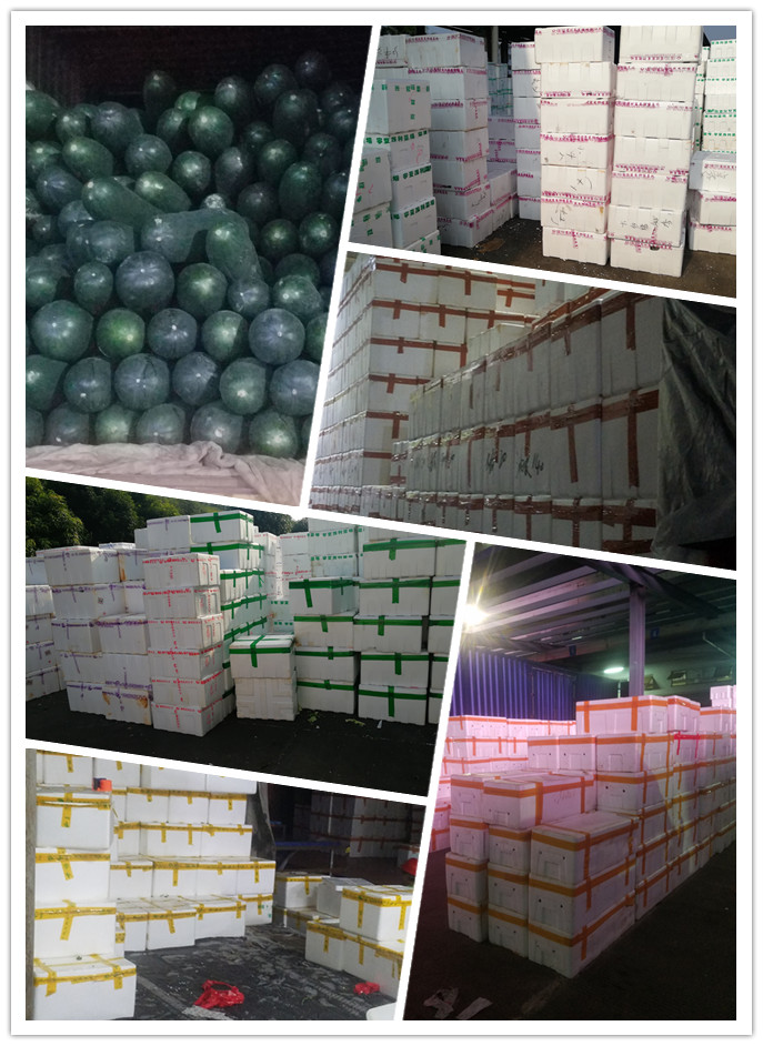 鉴黑担保网(jhdbw)·最具权威唯一维权担保平台