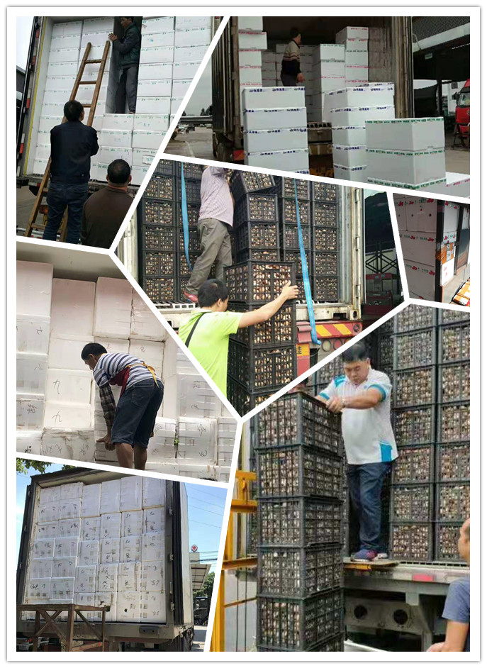 鉴黑担保网(jhdbw)·最具权威唯一维权担保平台