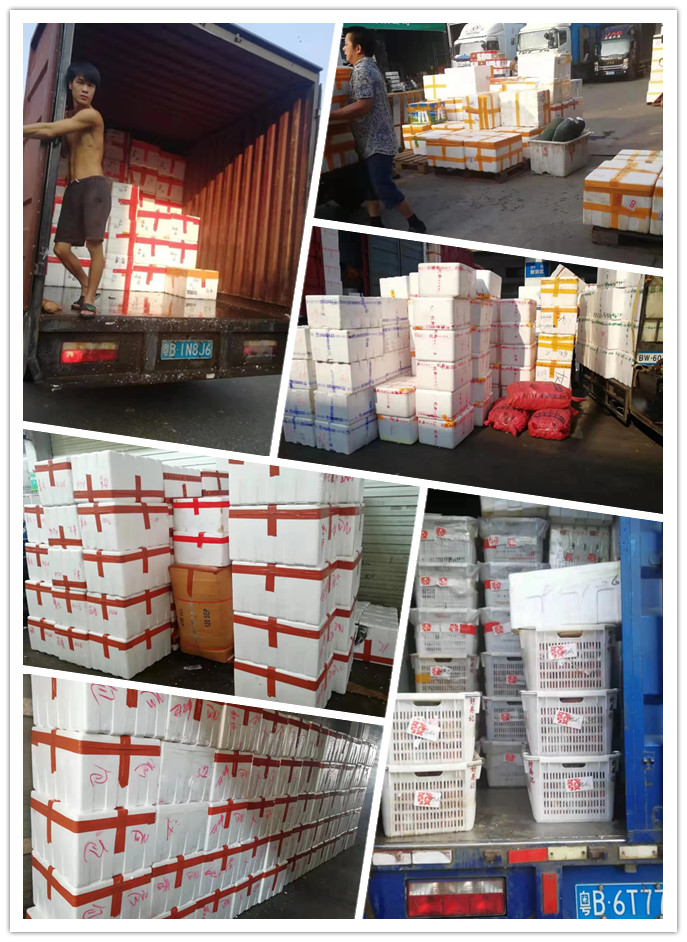 鉴黑担保网(jhdbw)·最具权威唯一维权担保平台