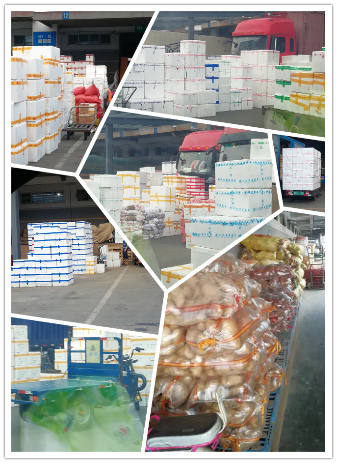 鉴黑担保网(jhdbw)·最具权威唯一维权担保平台