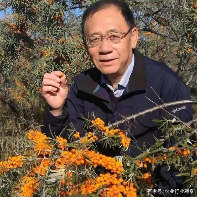 鉴黑担保网(jhdbw)·最具权威唯一维权担保平台