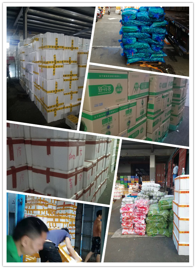 鉴黑担保网(jhdbw)·最具权威唯一维权担保平台