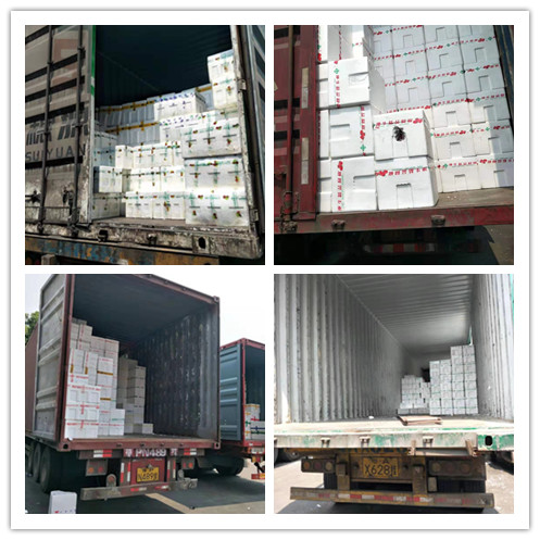 鉴黑担保网(jhdbw)·最具权威唯一维权担保平台