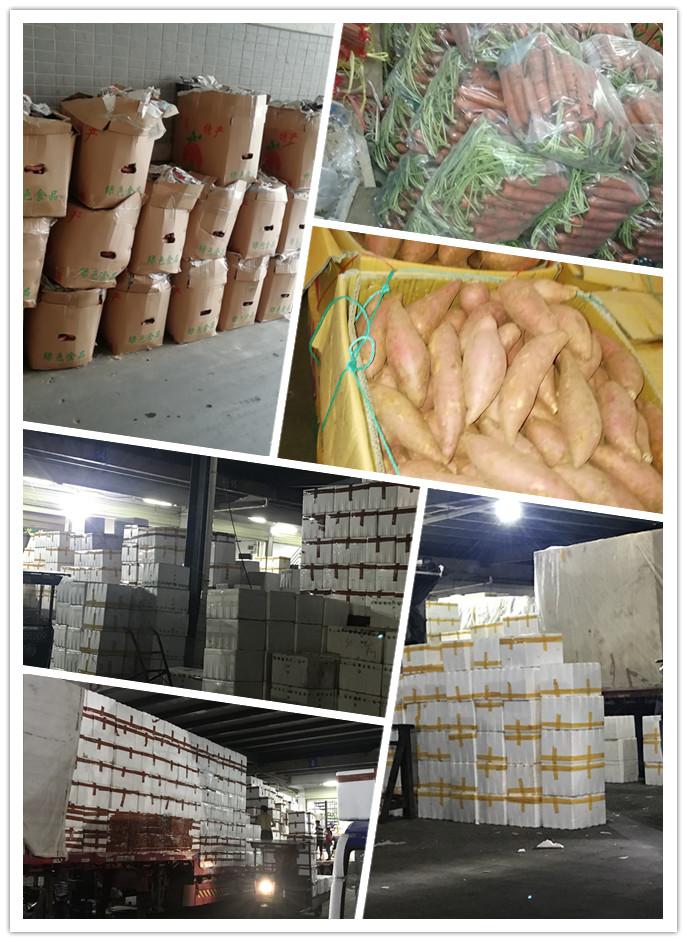 鉴黑担保网(jhdbw)·最具权威唯一维权担保平台