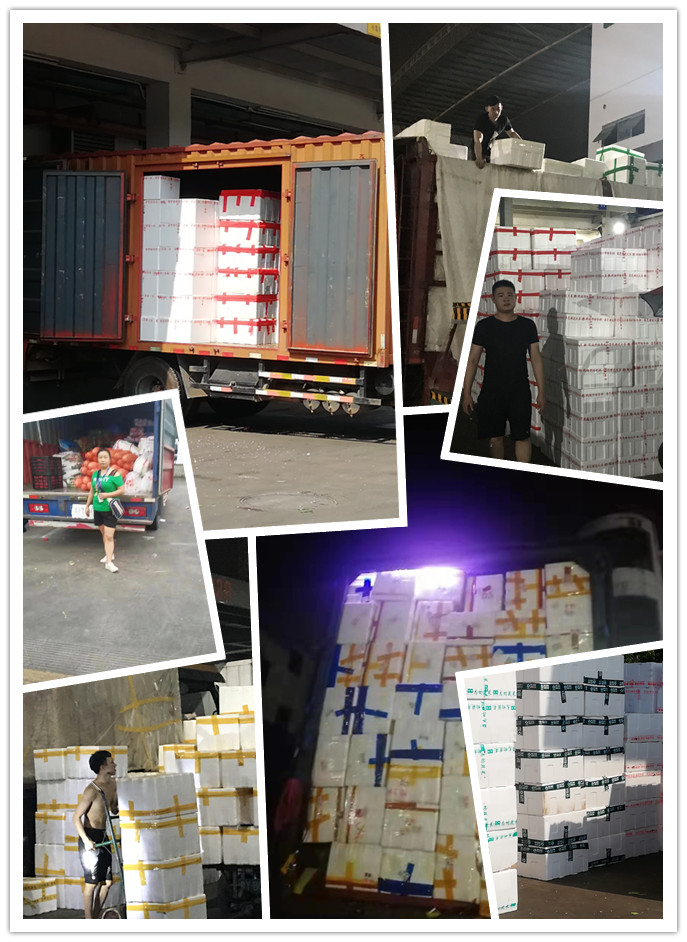 鉴黑担保网(jhdbw)·最具权威唯一维权担保平台