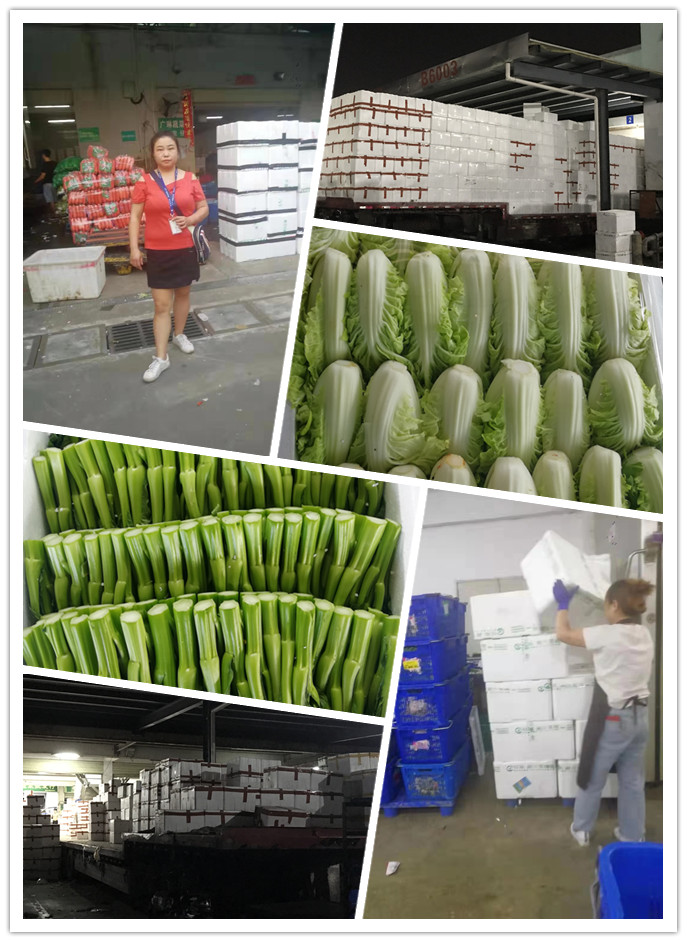 鉴黑担保网(jhdbw)·最具权威唯一维权担保平台