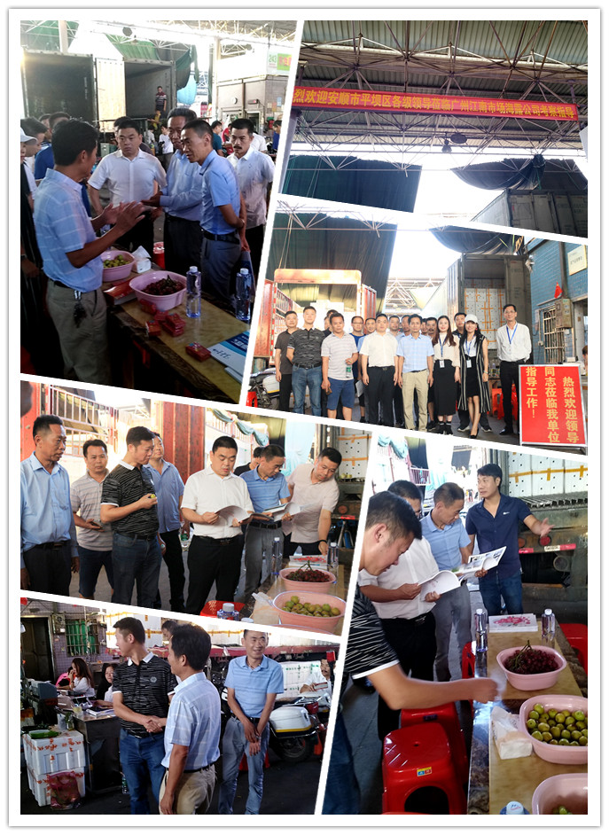 鉴黑担保网(jhdbw)·最具权威唯一维权担保平台