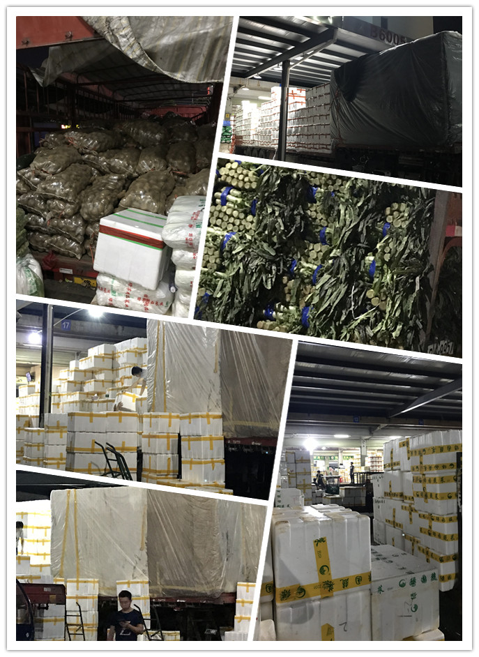 鉴黑担保网(jhdbw)·最具权威唯一维权担保平台