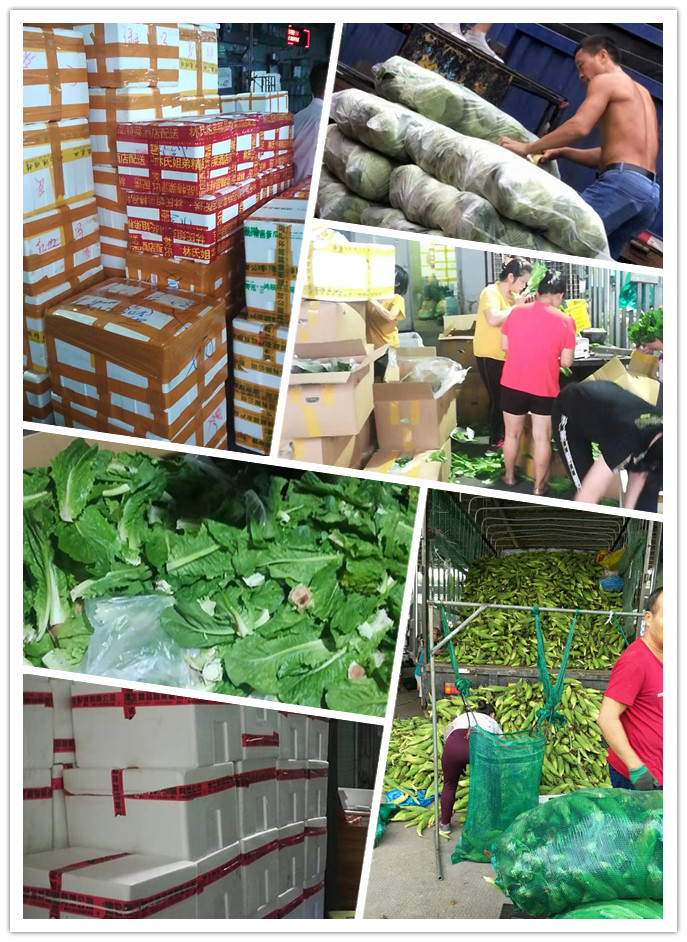 鉴黑担保网(jhdbw)·最具权威唯一维权担保平台