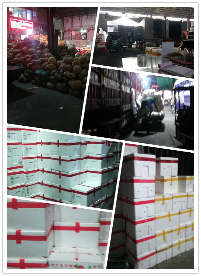 鉴黑担保网(jhdbw)·最具权威唯一维权担保平台