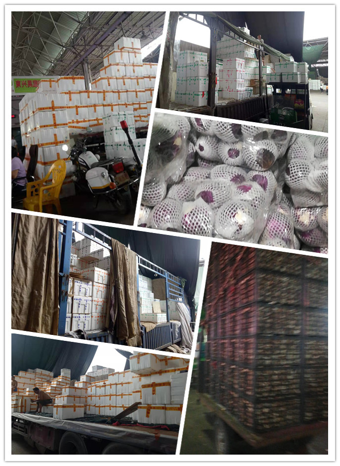 鉴黑担保网(jhdbw)·最具权威唯一维权担保平台