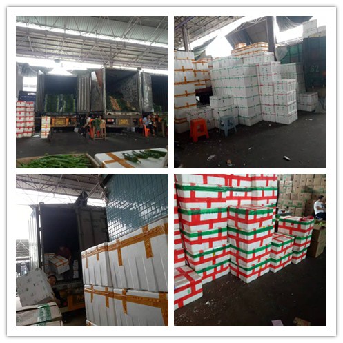 鉴黑担保网(jhdbw)·最具权威唯一维权担保平台