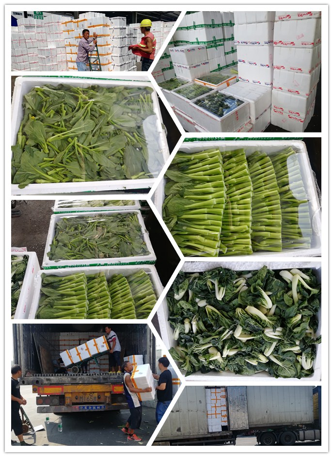 鉴黑担保网(jhdbw)·最具权威唯一维权担保平台