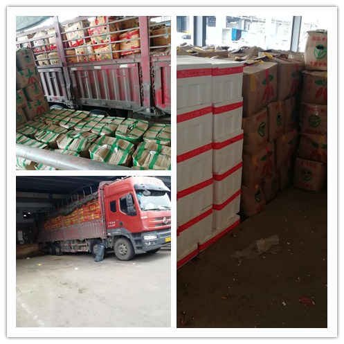 鉴黑担保网(jhdbw)·最具权威唯一维权担保平台