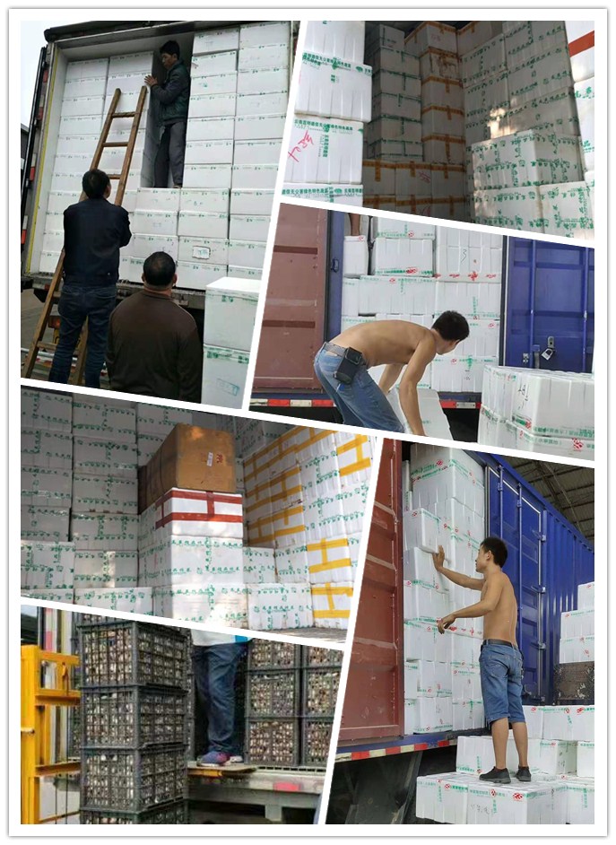 鉴黑担保网(jhdbw)·最具权威唯一维权担保平台