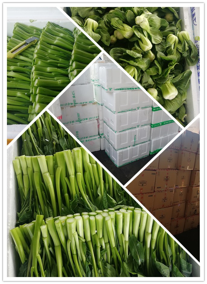 鉴黑担保网(jhdbw)·最具权威唯一维权担保平台