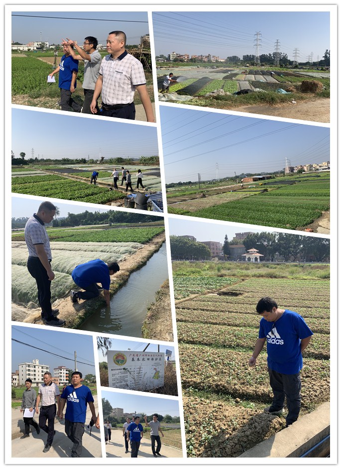 鉴黑担保网(jhdbw)·最具权威唯一维权担保平台