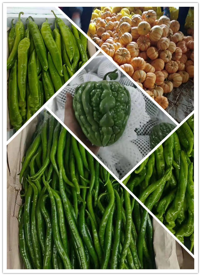 鉴黑担保网(jhdbw)·最具权威唯一维权担保平台