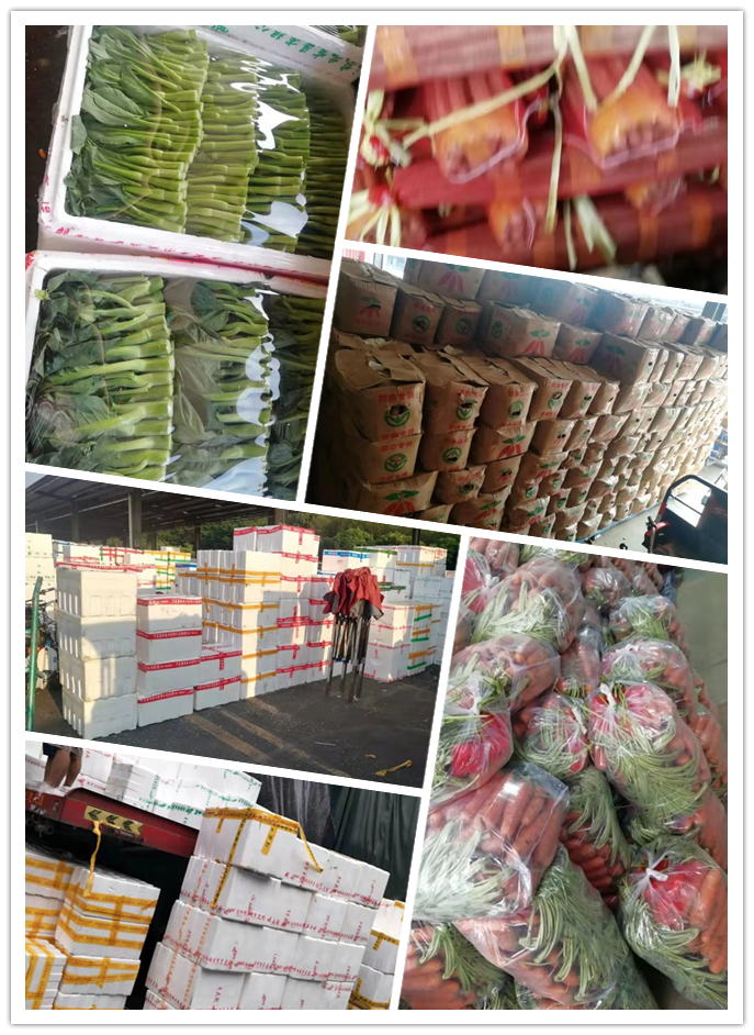 鉴黑担保网(jhdbw)·最具权威唯一维权担保平台