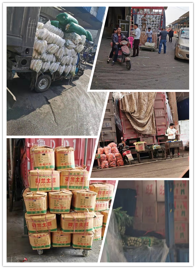 鉴黑担保网(jhdbw)·最具权威唯一维权担保平台