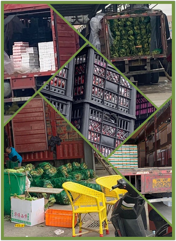 鉴黑担保网(jhdbw)·最具权威唯一维权担保平台