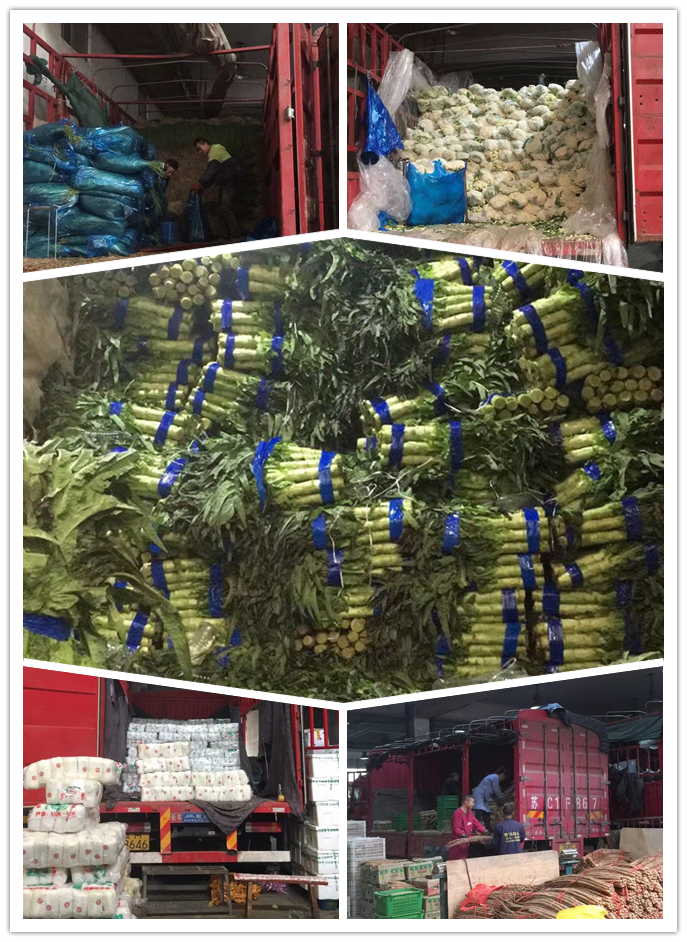 鉴黑担保网(jhdbw)·最具权威唯一维权担保平台