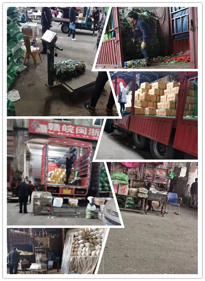 鉴黑担保网(jhdbw)·最具权威唯一维权担保平台