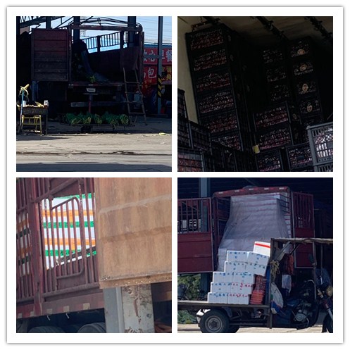 鉴黑担保网(jhdbw)·最具权威唯一维权担保平台