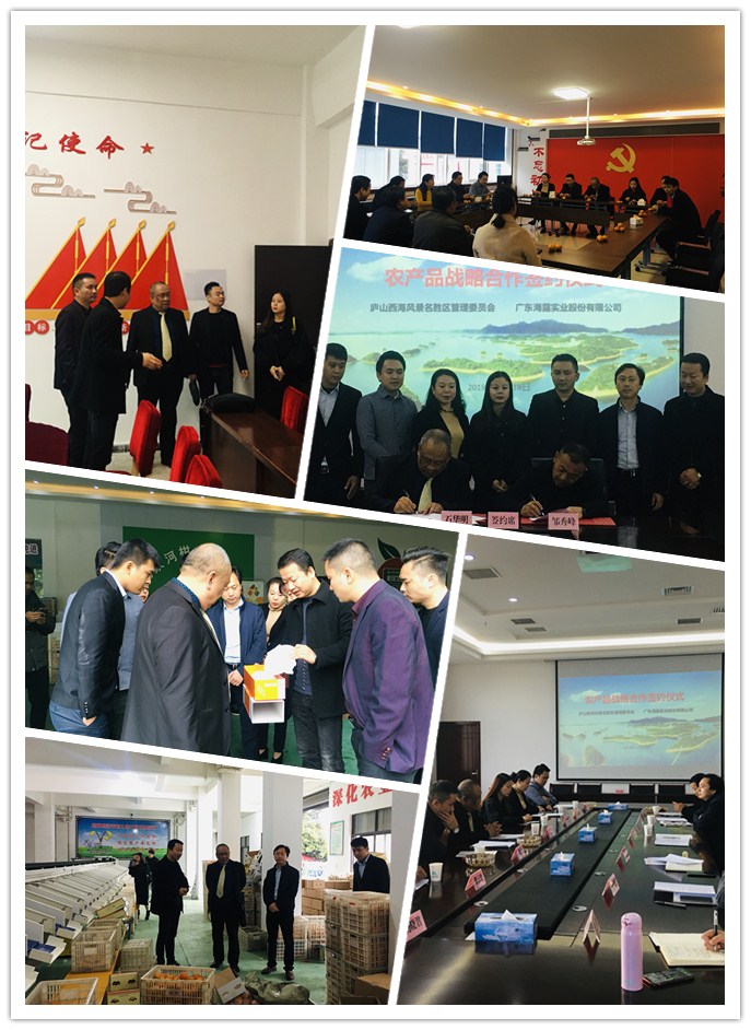 鉴黑担保网(jhdbw)·最具权威唯一维权担保平台