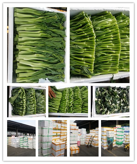 鉴黑担保网(jhdbw)·最具权威唯一维权担保平台