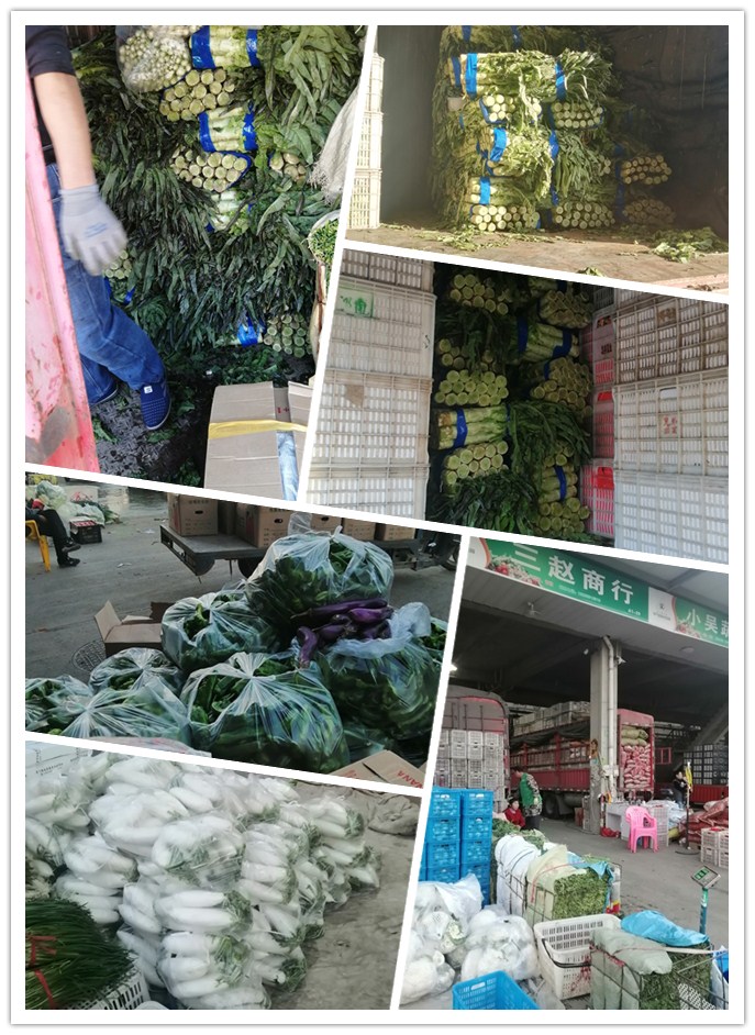 鉴黑担保网(jhdbw)·最具权威唯一维权担保平台