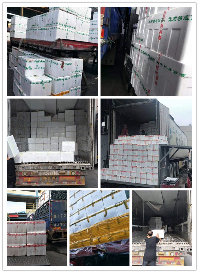 鉴黑担保网(jhdbw)·最具权威唯一维权担保平台