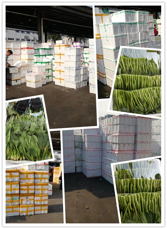 鉴黑担保网(jhdbw)·最具权威唯一维权担保平台