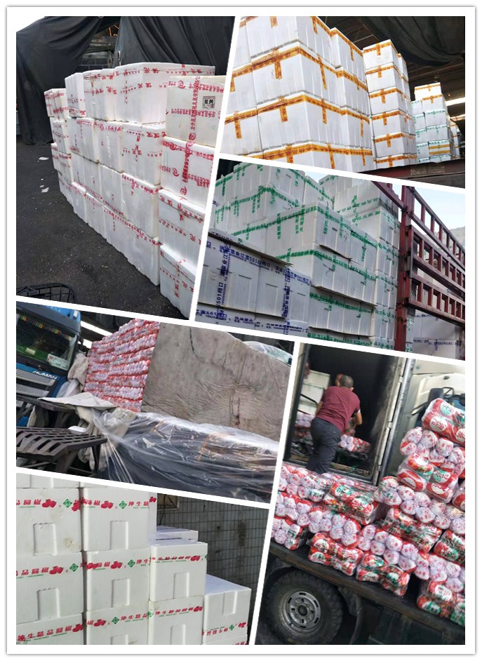 鉴黑担保网(jhdbw)·最具权威唯一维权担保平台